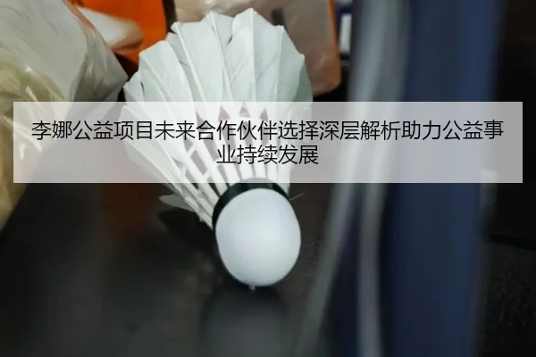 李娜公益项目未来合作伙伴选择深层解析助力公益事业持续发展