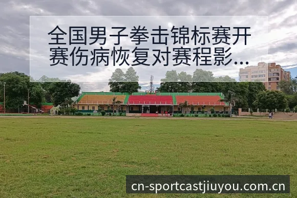 全国男子拳击锦标赛开赛伤病恢复对赛程影响与排名变化分析 - 九游体育APP