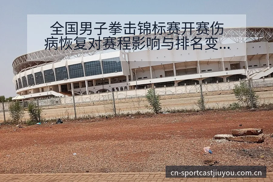 全国男子拳击锦标赛开赛伤病恢复对赛程影响与排名变化分析 - 九游体育APP
